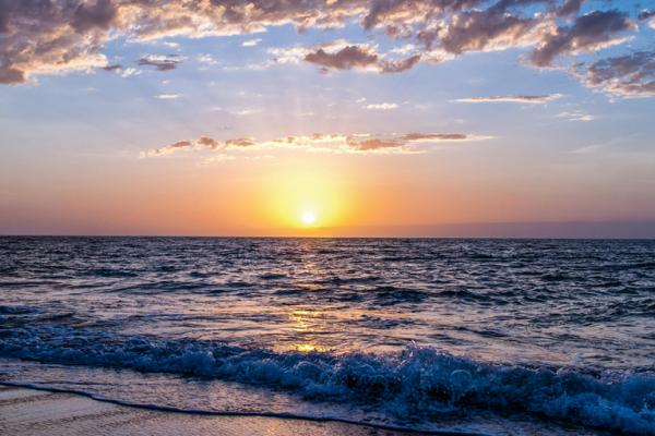 Symbio Harmonizer med